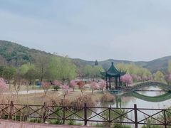 -石塘人家
