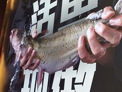 -老板恋上鱼(恒隆广场店)