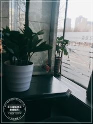 点击看大图 -木北造型