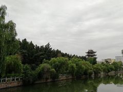 -花洲书院