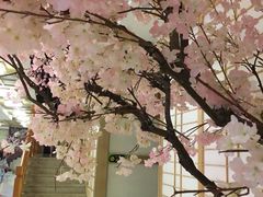 -极乐汇汗蒸会馆(杭州店)
