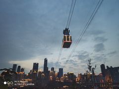 -李子坝梁山鸡(李子坝大鸡哥店)