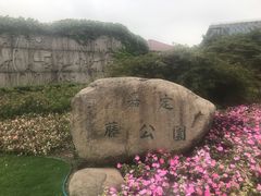 -嘉定紫藤园