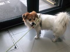 -爱侣宠医·鹦鹉专科·小型哺乳类·异宠专科(灵石路店)