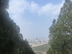 -佛慧山