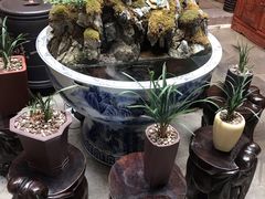 -普洱茶府(博乐广场店)