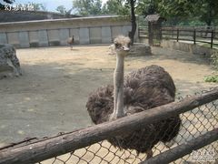 -西安秦岭野生动物园