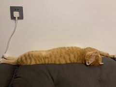 -鑫梦桌游谋杀之谜剧本杀俱乐部(联合商厦店)