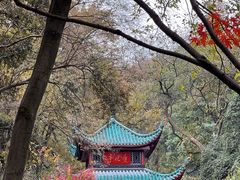 -岳麓山风景名胜区