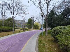 -尚贤河湿地