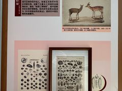 -土山湾博物馆