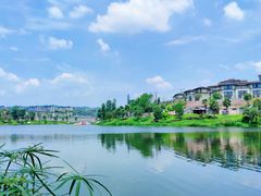 -枫香湖儿童公园