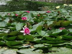 -西部兰花园生态园