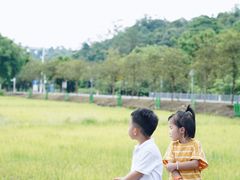 -红山村