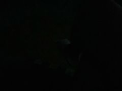 -幸福泉幼儿园(秋实东街)