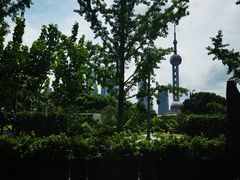 -Wolfgang’s Steakhouse 沃夫冈牛排馆(上海白玉兰广场店)