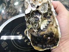 -蚝专家