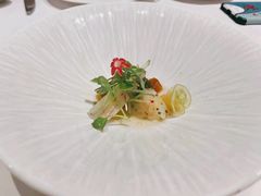 -蝶舍·MAISON PAPILLON