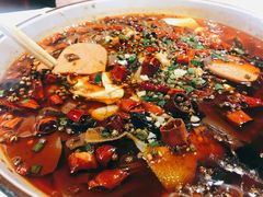 毛血旺-雲蜀龙阁·金牌水煮鱼(方庄店)