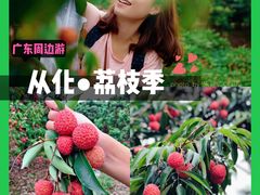 -广州市流溪河国家森林公园