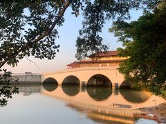 -大湾区中央湿地公园
