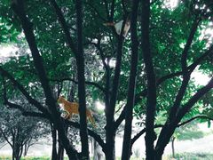 -苏州河梦清园环保主题公园