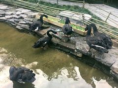 -西安曲江寒窑遗址公园