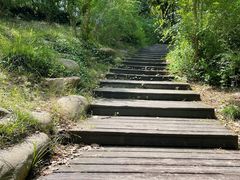 -新江湾城公园