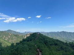 -大岭沟猕猴桃谷风景区