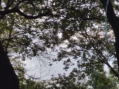 -阳台山森林公园