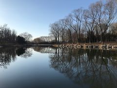 -大兴滨河森林公园