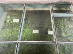 -东关历史文化旅游区-东门遗址