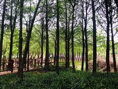 -尚贤河湿地