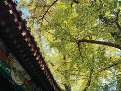 -宣武艺园