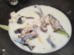 -鲜潭蒸汽石锅鱼(五道口购物中心店)
