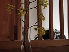 -瓦库茶馆17号(海汇港店)