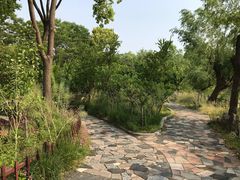 -南汇桃花村