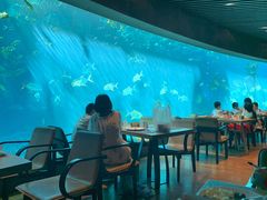 大堂-海棠湾洲际-涛·海底餐厅·美人鱼·自助餐·海底隧道