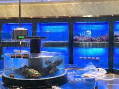 -金悦轩海鲜酒家(拱北店)