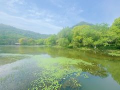 -八卦田遗址公园