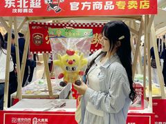 -盛京大奥莱(沈阳奥体店)