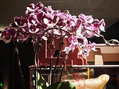 -苏城家宴·金堤花园店(李公堤店)