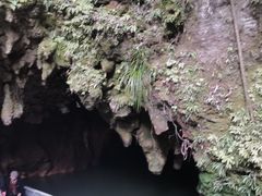 -怀托摩萤火虫洞