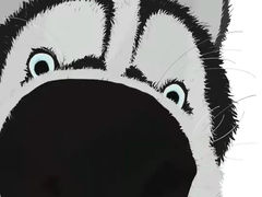 -三十六味匠猪蹄(三元桥店)