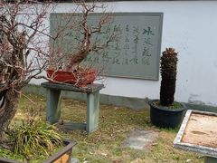 -杭州植物园