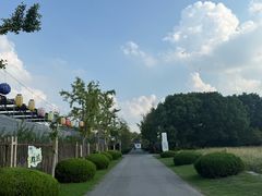 -菊园百果园