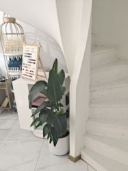-OAE日式皮肤管理お肌の