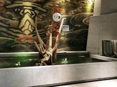 -大渔之观(安贞店)