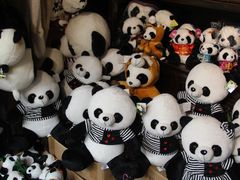 -熊猫屋(宽窄巷子景区店)