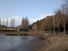 -上海长兴岛郊野公园